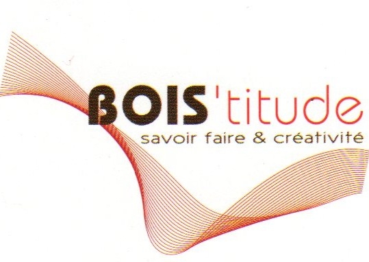 BOISTitude Logo