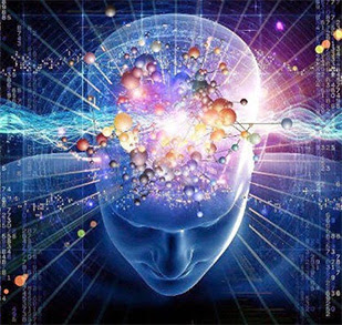 CERVEAU favcebook 2015